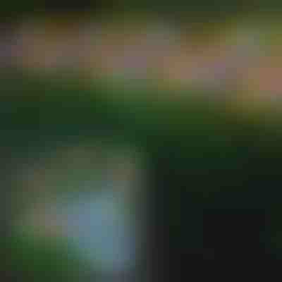 Luces solares para exterior con forma de mariposas | FLUTIX