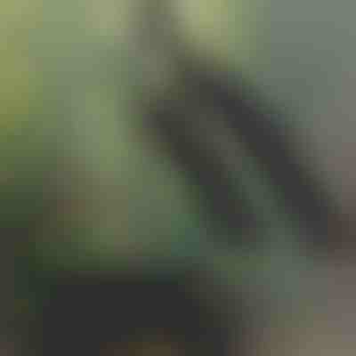 Guardabarros retráctil para bicicletas FOLDIGUARD