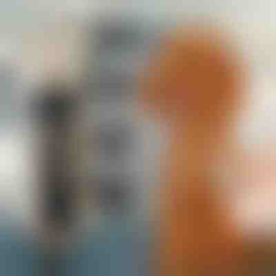 Juego de cortapelos para mascotas | GULAMACHINE