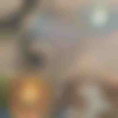 Juego profesional de herramientas para quemar leña | PYROPEN